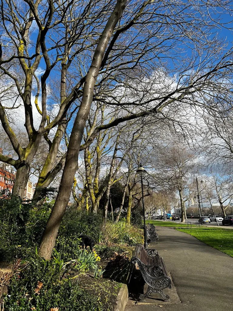 Cheyne Walk (Stop BA)