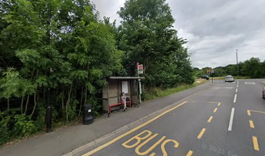 Chingford Lane (Stop HQ)