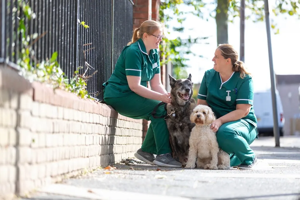 Cockfosters Veterinary Surgery
