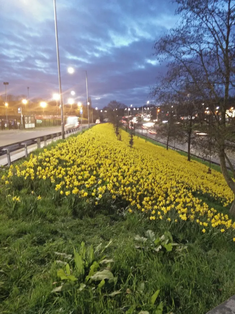 Colney Hatch Ln N Circular Rd (Stop CV)