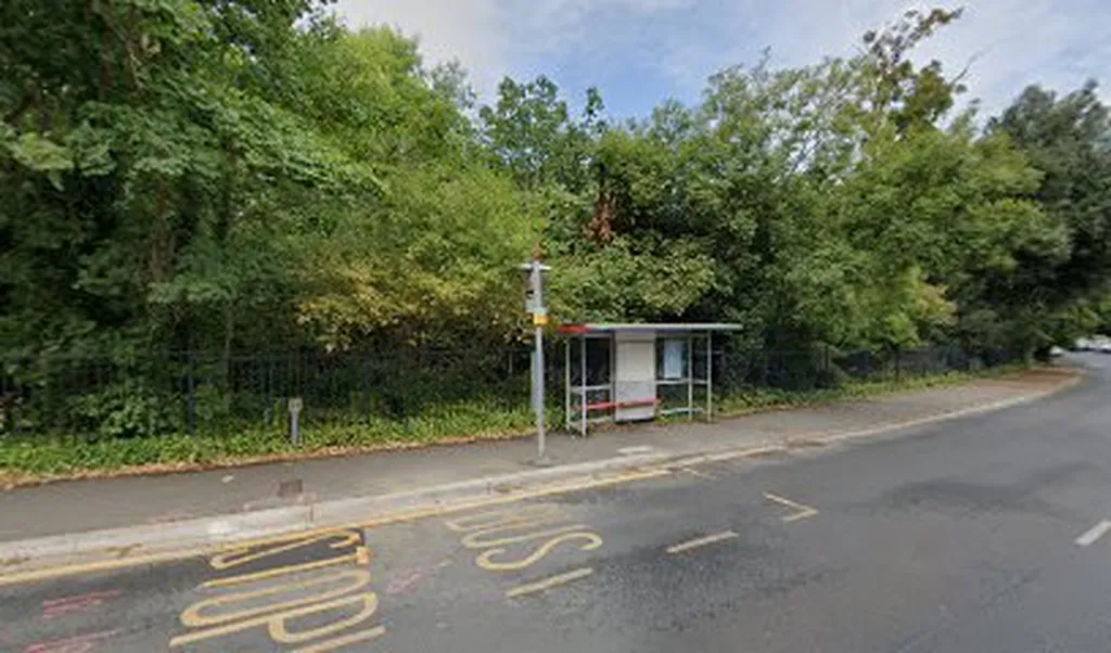 Crescent Wood Road (Stop Q)