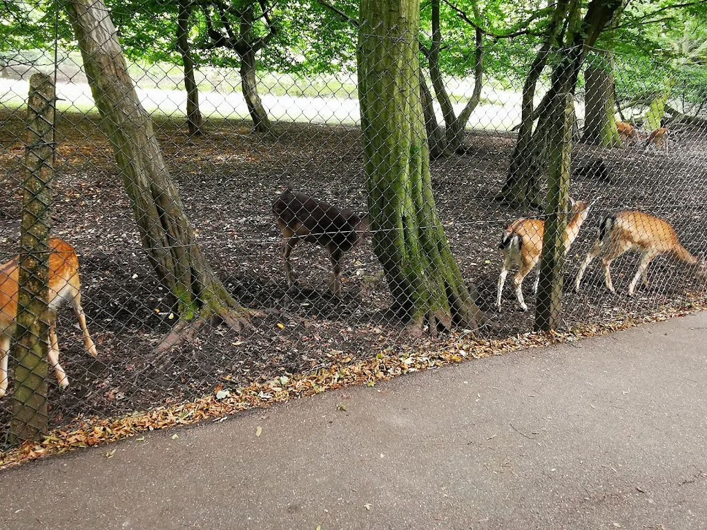 Deer Park