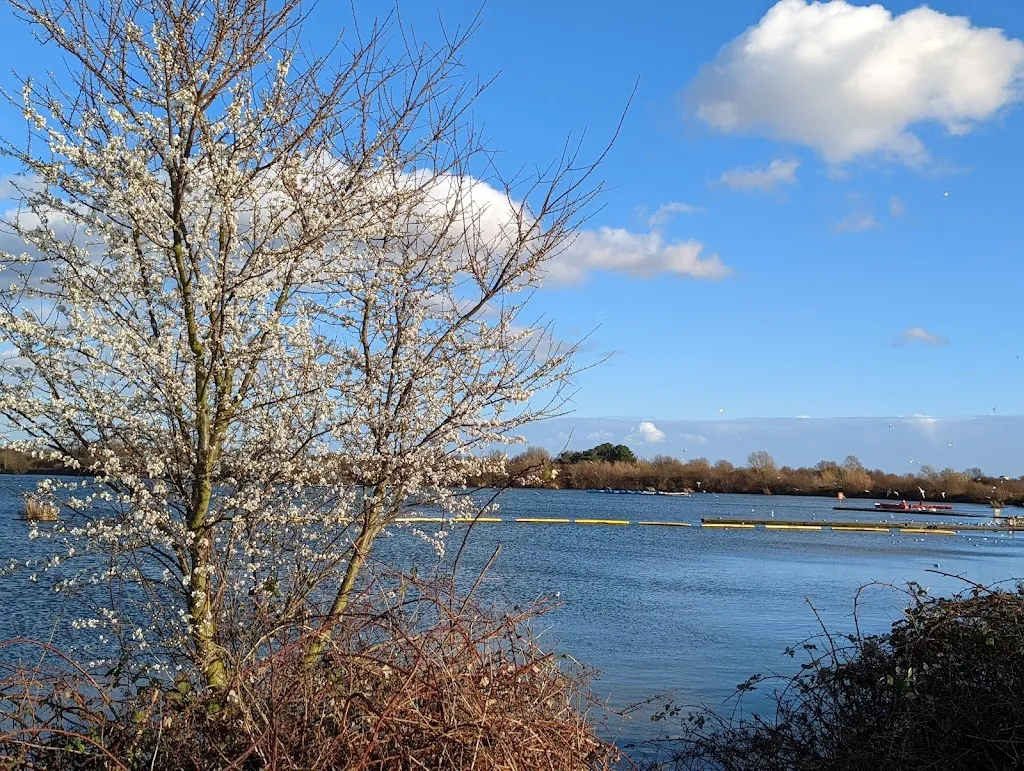 Fairlop Waters