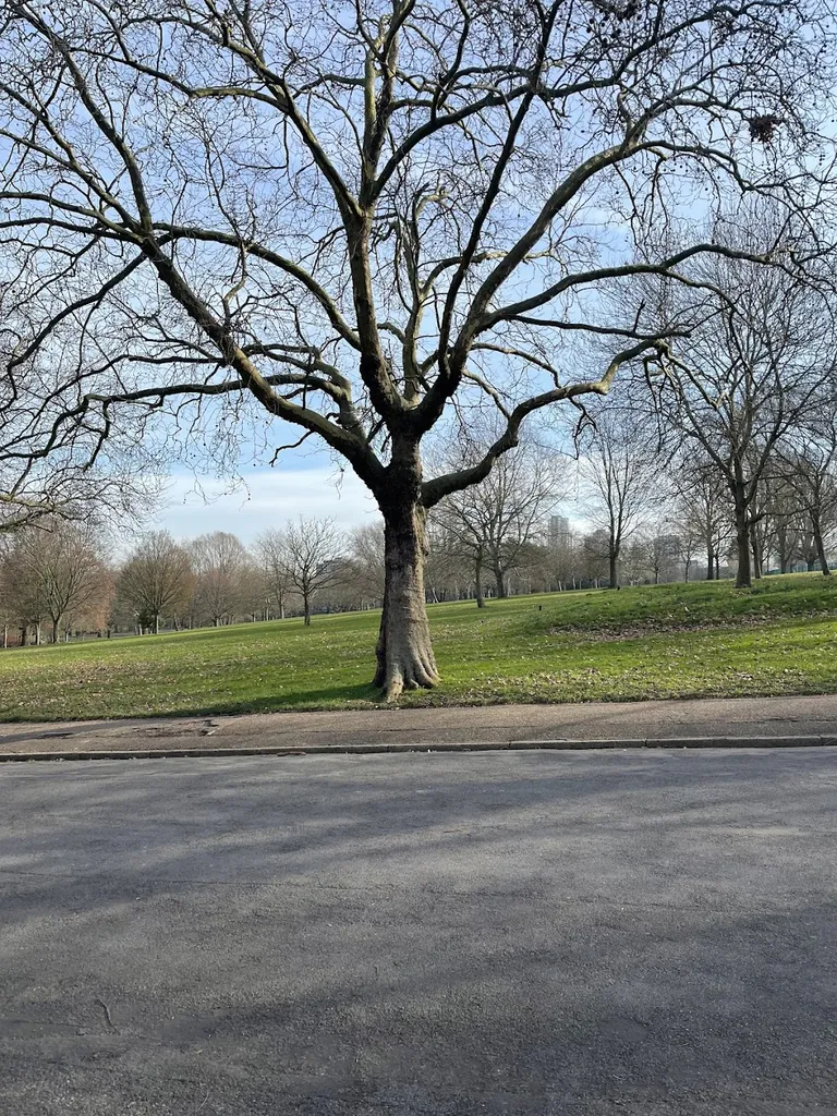 Finsbury Park Hornsey Gate