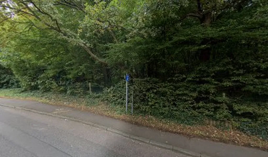 Forest Road