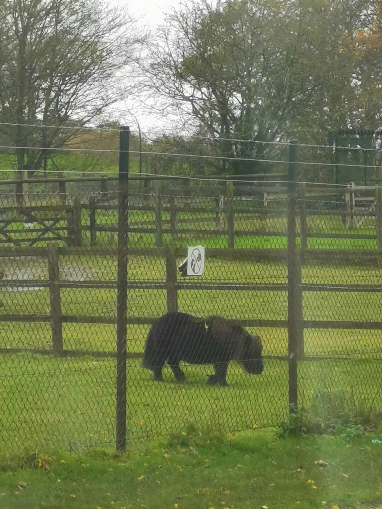 Foxburrows Farm and Children's Zoo - Hainault Forest