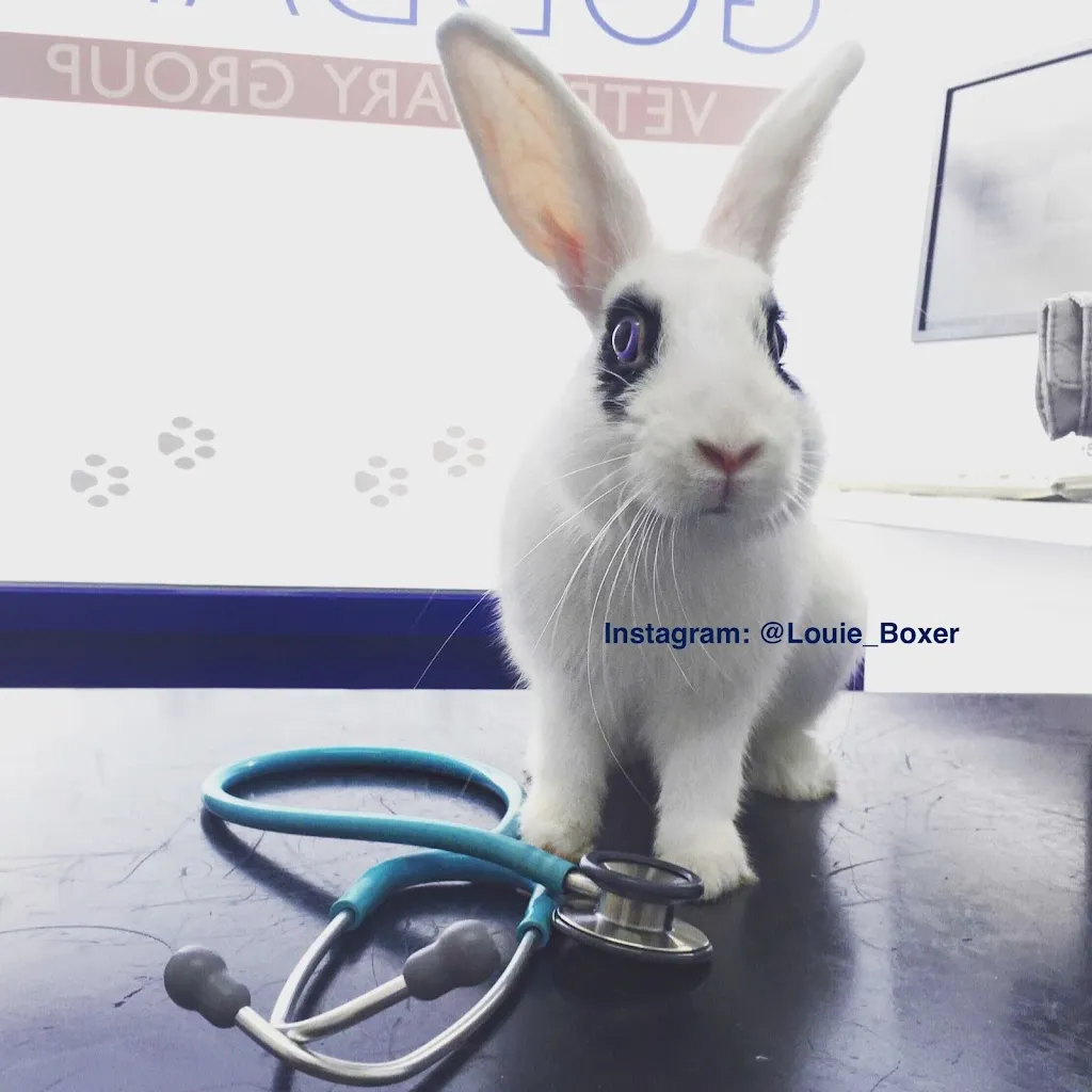 Goddard Veterinary Group, Hackney