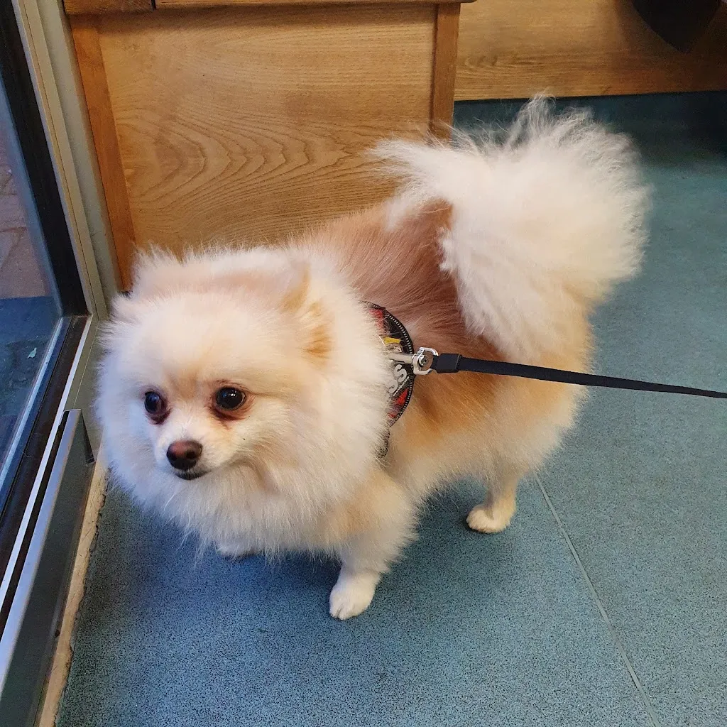 Goddard Veterinary Group, Mile End