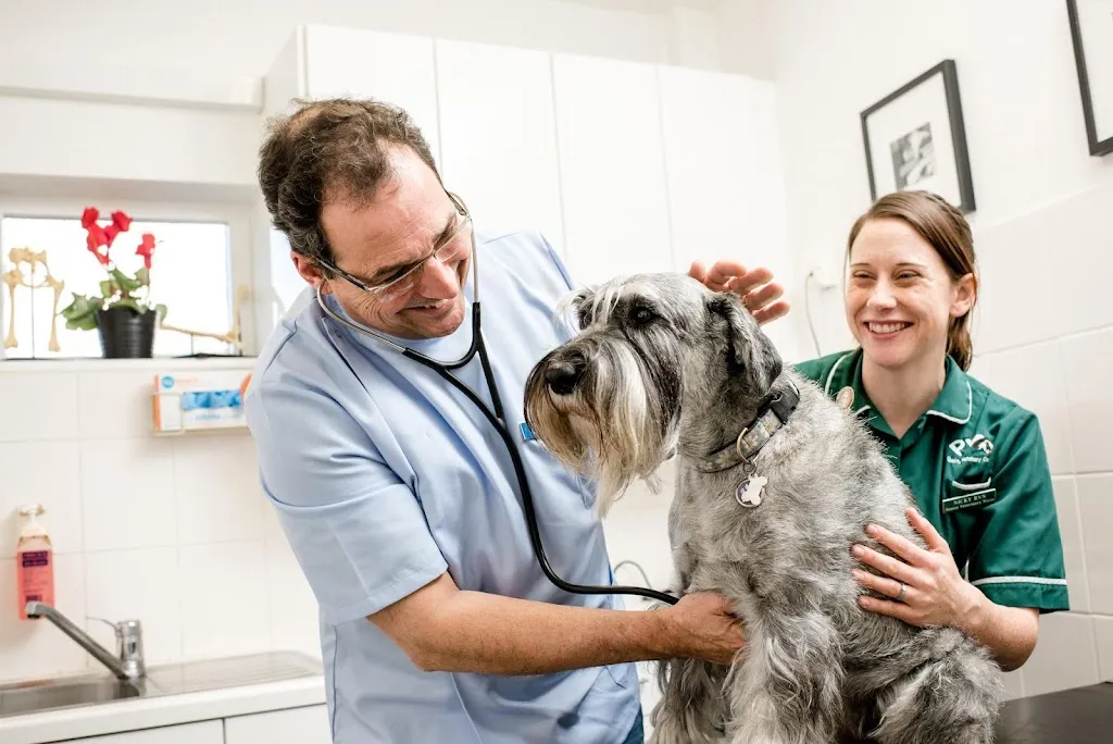 Goddard Veterinary Group, Raynes Park