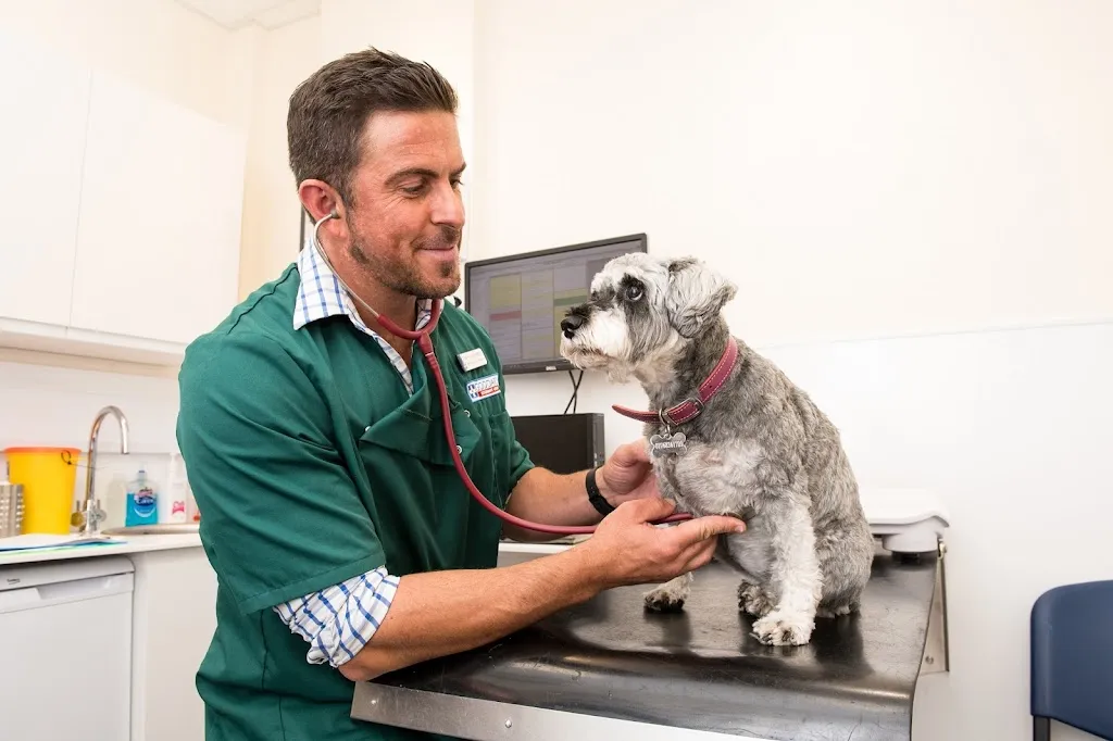 Goddard Veterinary Group, Stockwell