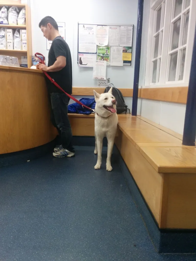 Goddard Veterinary Group, West Ham