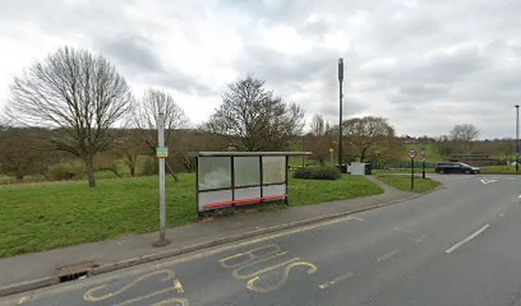 Goldcrest Way / King Henry's Drive