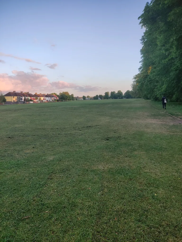 Gorringe Park Avenue (Stop TU)