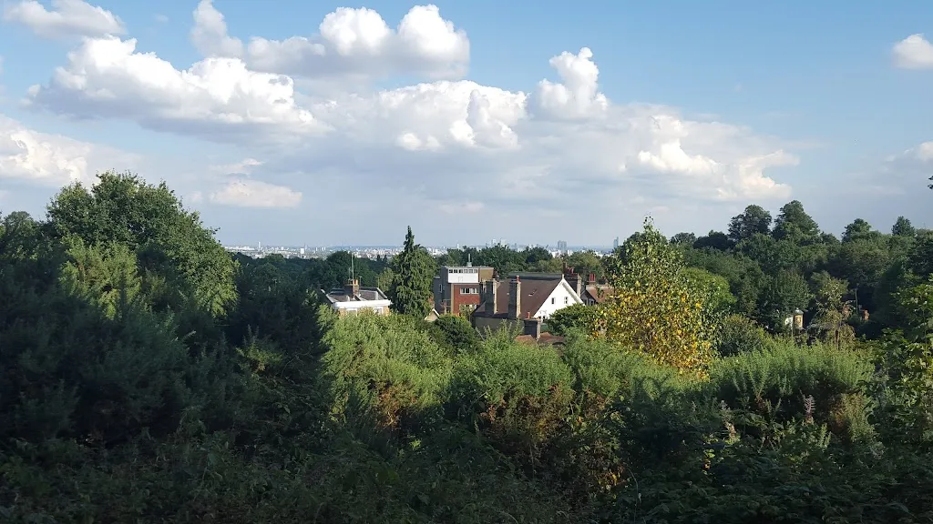 Hampstead Heath