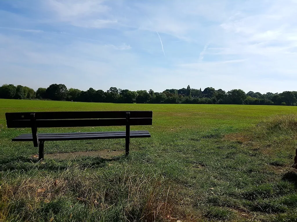 Hampstead Heath Extension