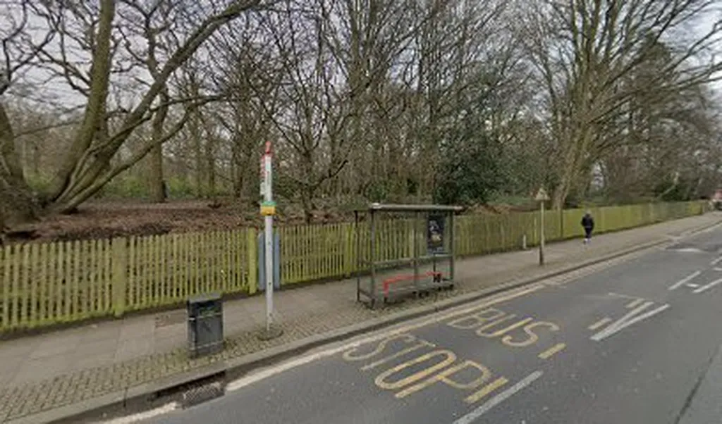 Highgate Wood (Stop D)