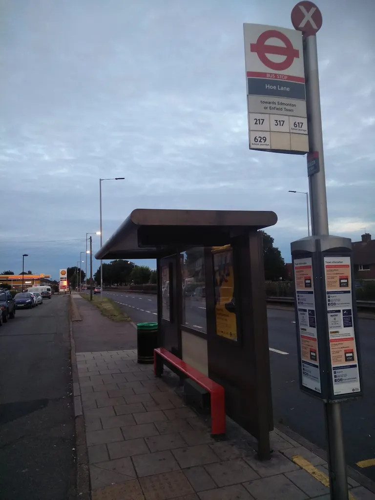 Hoe Lane (Stop X)