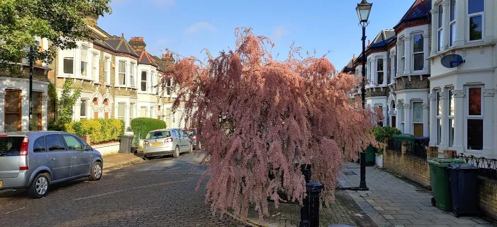 Holmewood Road (Stop BT)