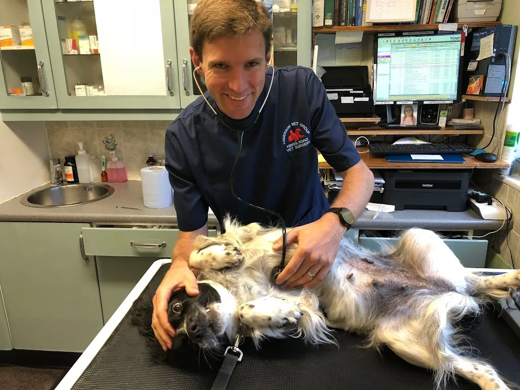 Kings Road Veterinary Surgery