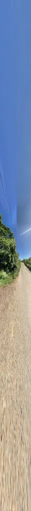 Laburnum Avenue (Stop RL)