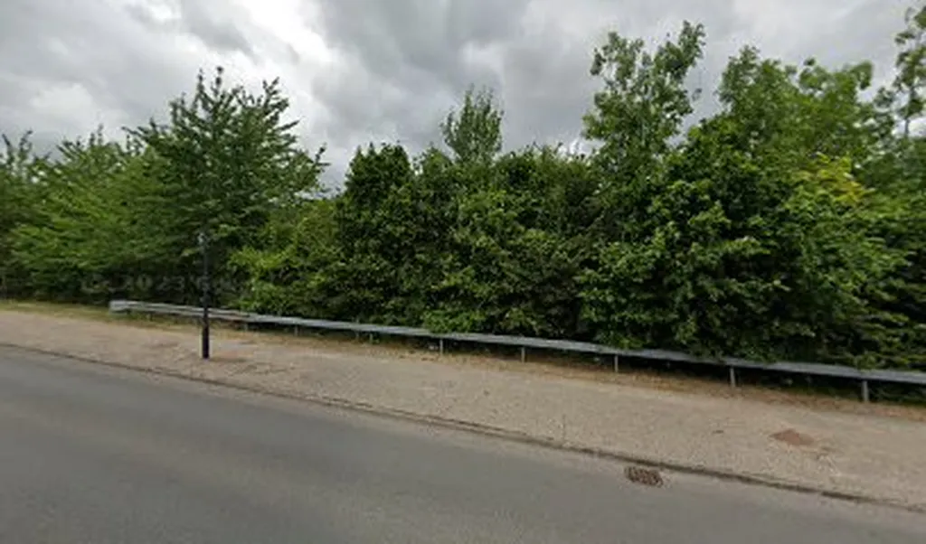 Lime Tree Avenue