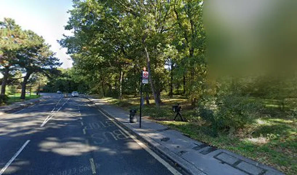 Longheath Gardens (Stop LA)