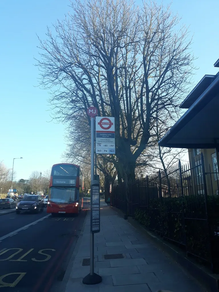 Lordship Lane / Wood Vale (Stop MJ)