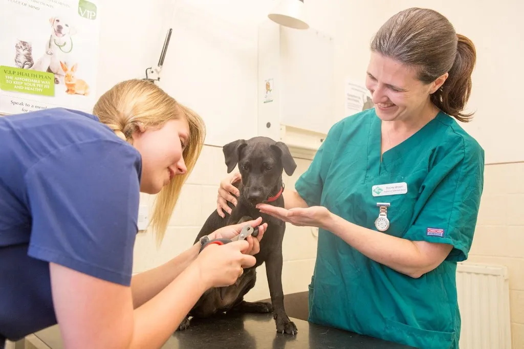 Mayow Veterinary Surgery