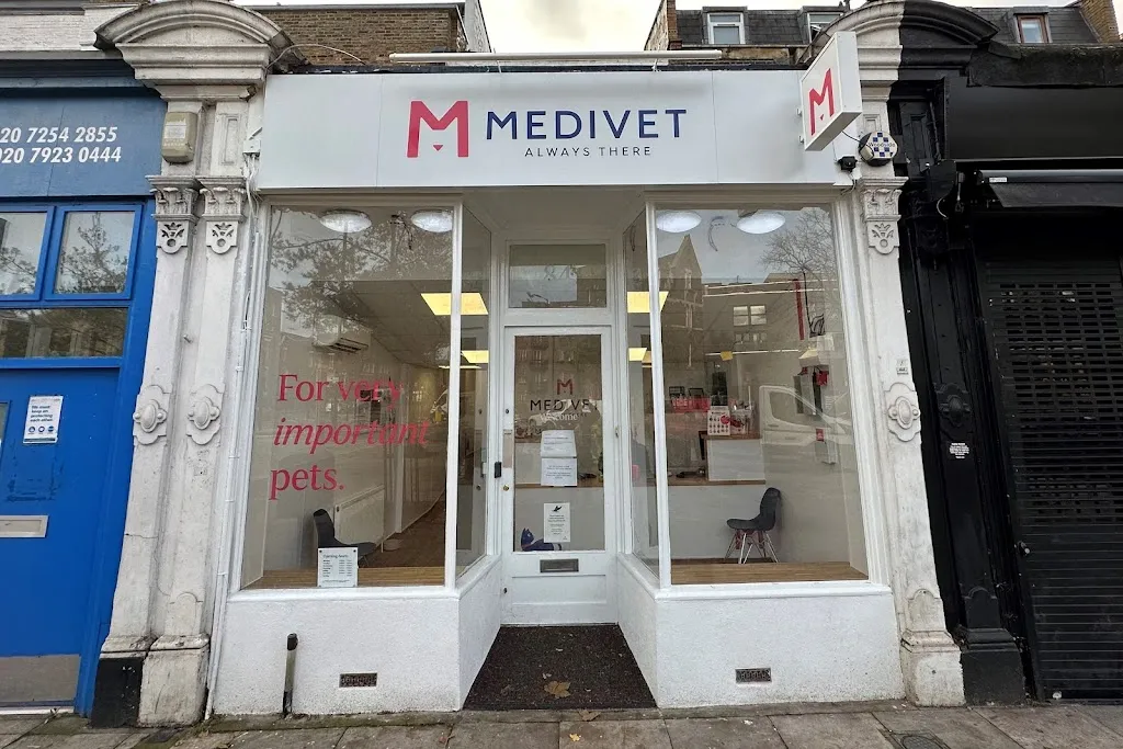 Medivet Dalston
