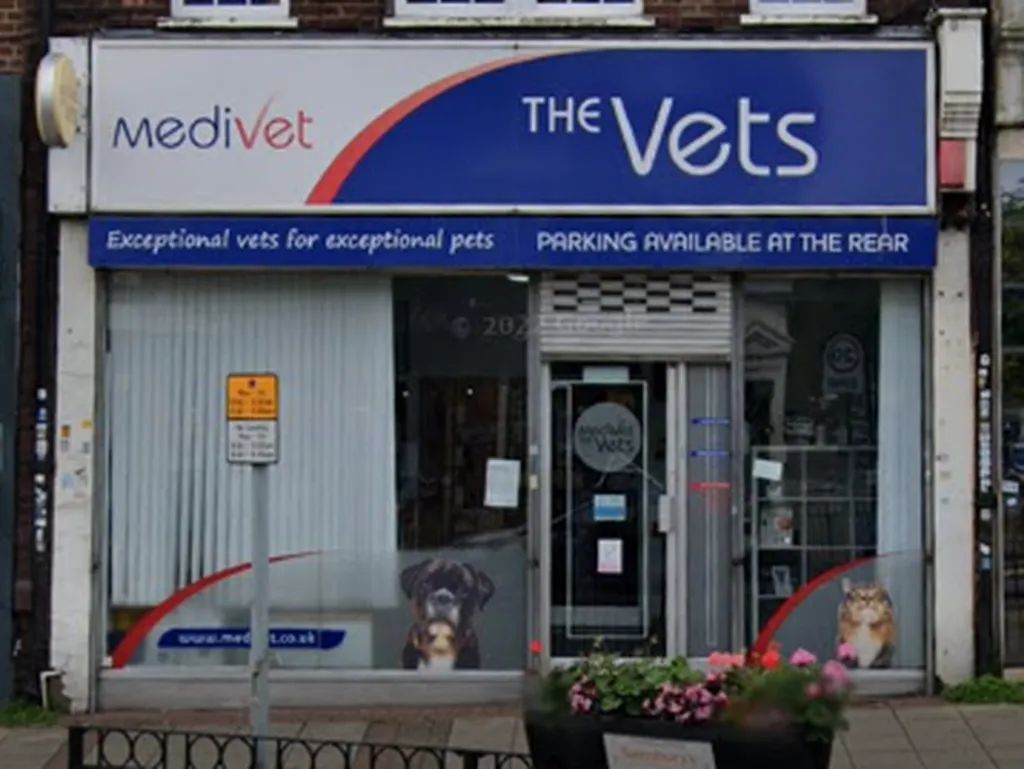 Medivet Kenton