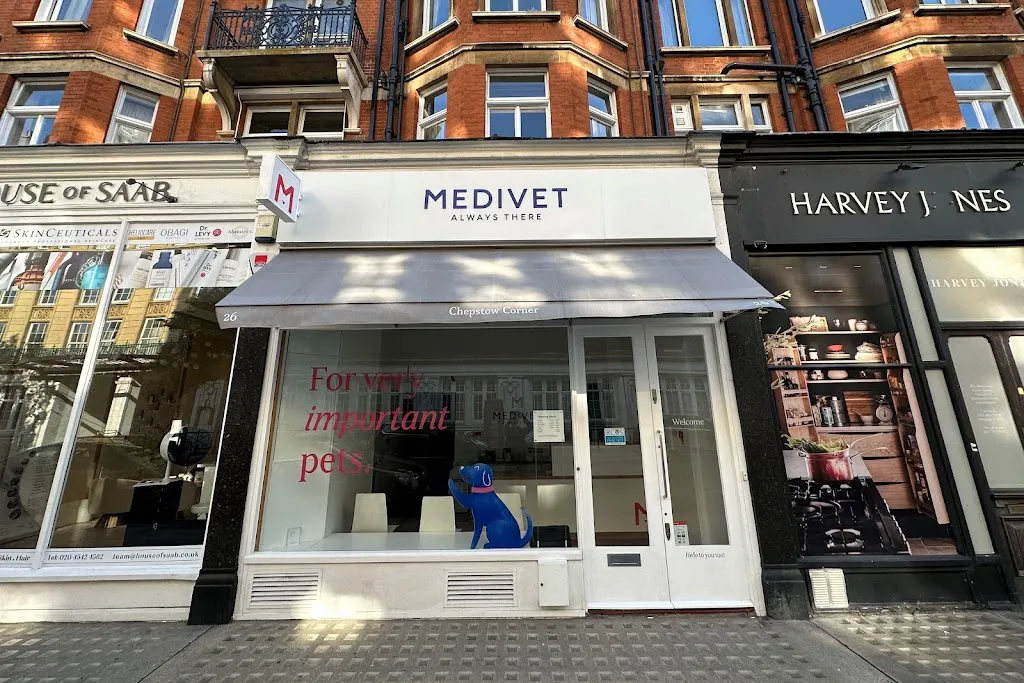 Medivet Notting Hill Chepstow Corner