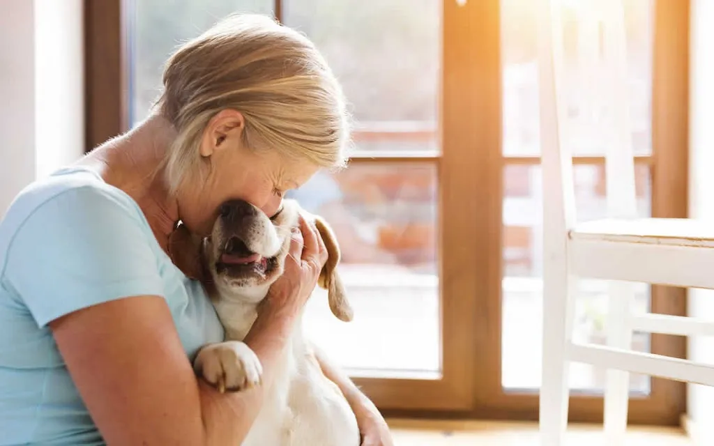 Medivet Petts Wood - Allpets Veterinary Clinic