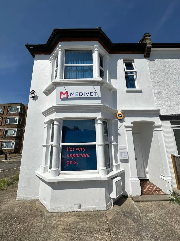 Medivet Welling