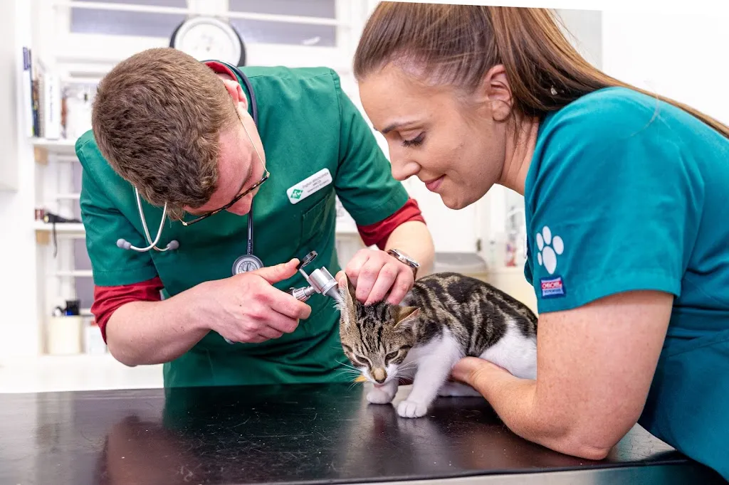 Mitcham Veterinary Surgery