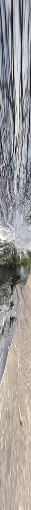 Morden Hall Park / Surrey Arms (Stop Q)
