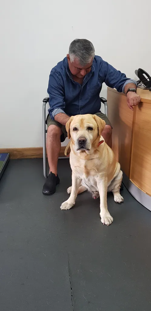 My Vet 24-7