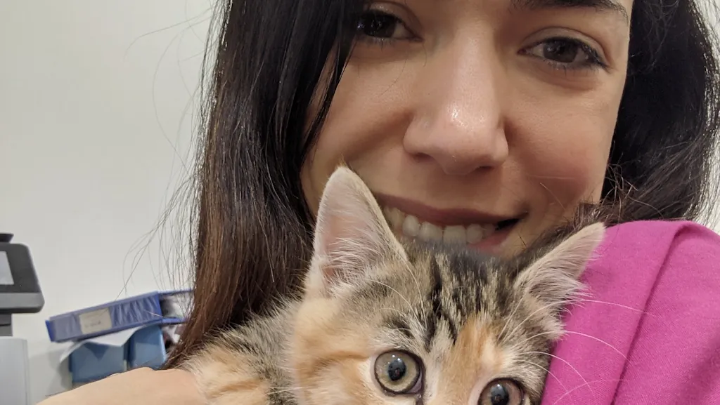 Myhousevet (mobile services)