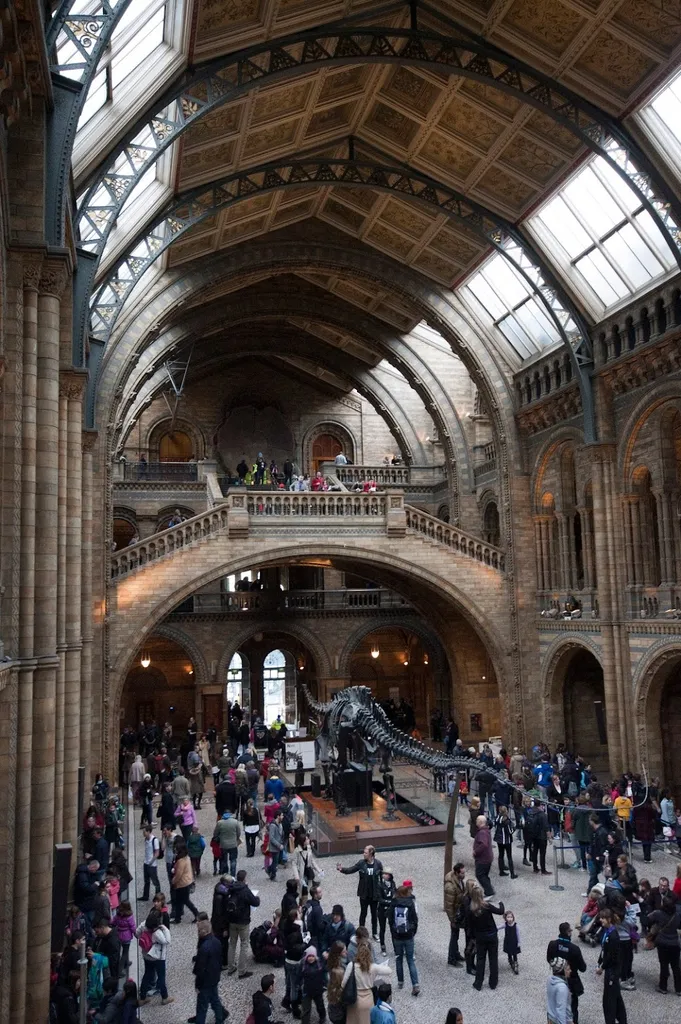 Natural History Museum / Cromwell Road (Stop GT)