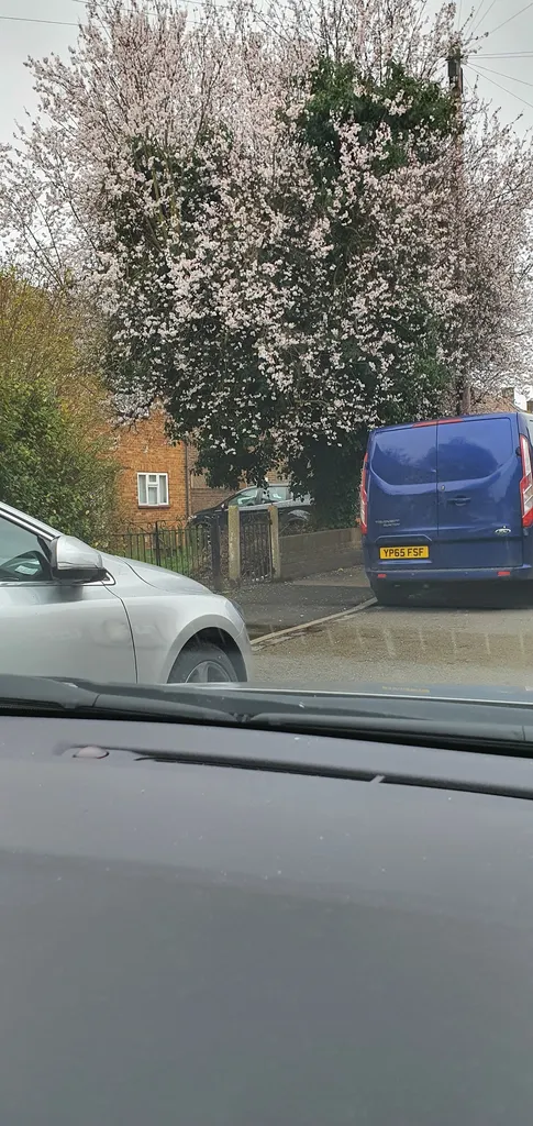 Northend Road Colyers Lane