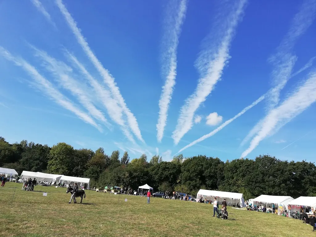 Oxleas Wood / Woodlands Farm (Stop SG)