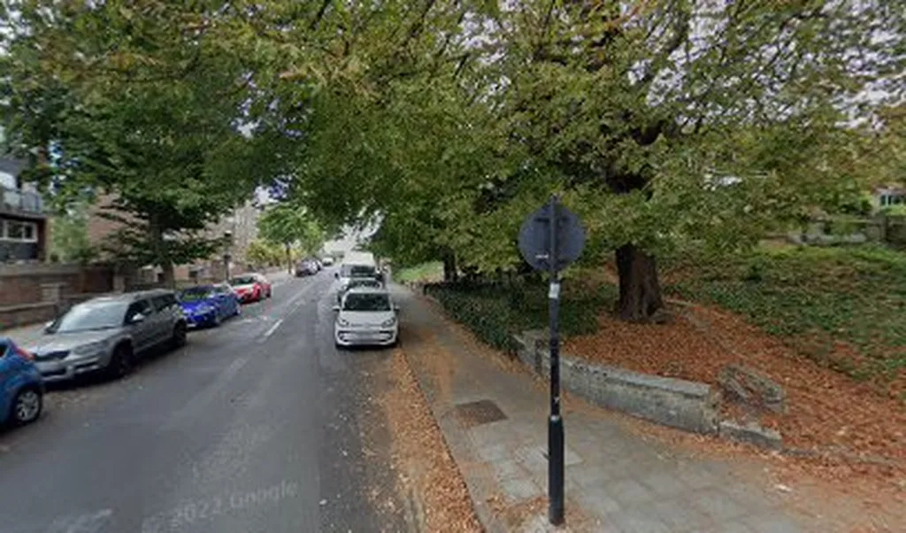 Palace Road