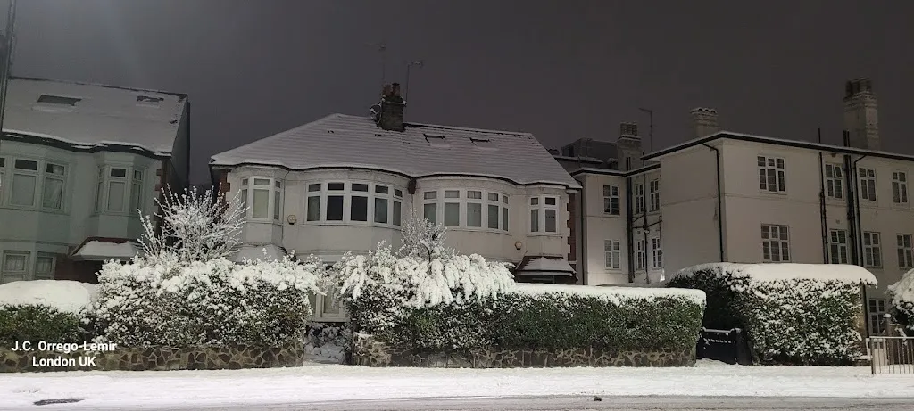 Palace Road (Stop Q)