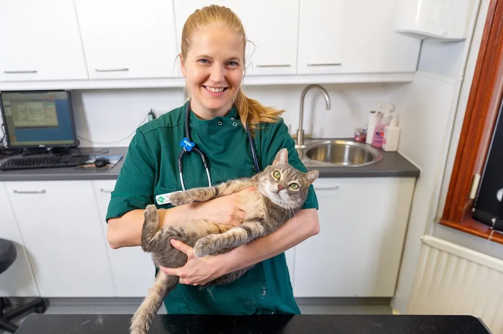 Parish Lane Veterinary Surgery
