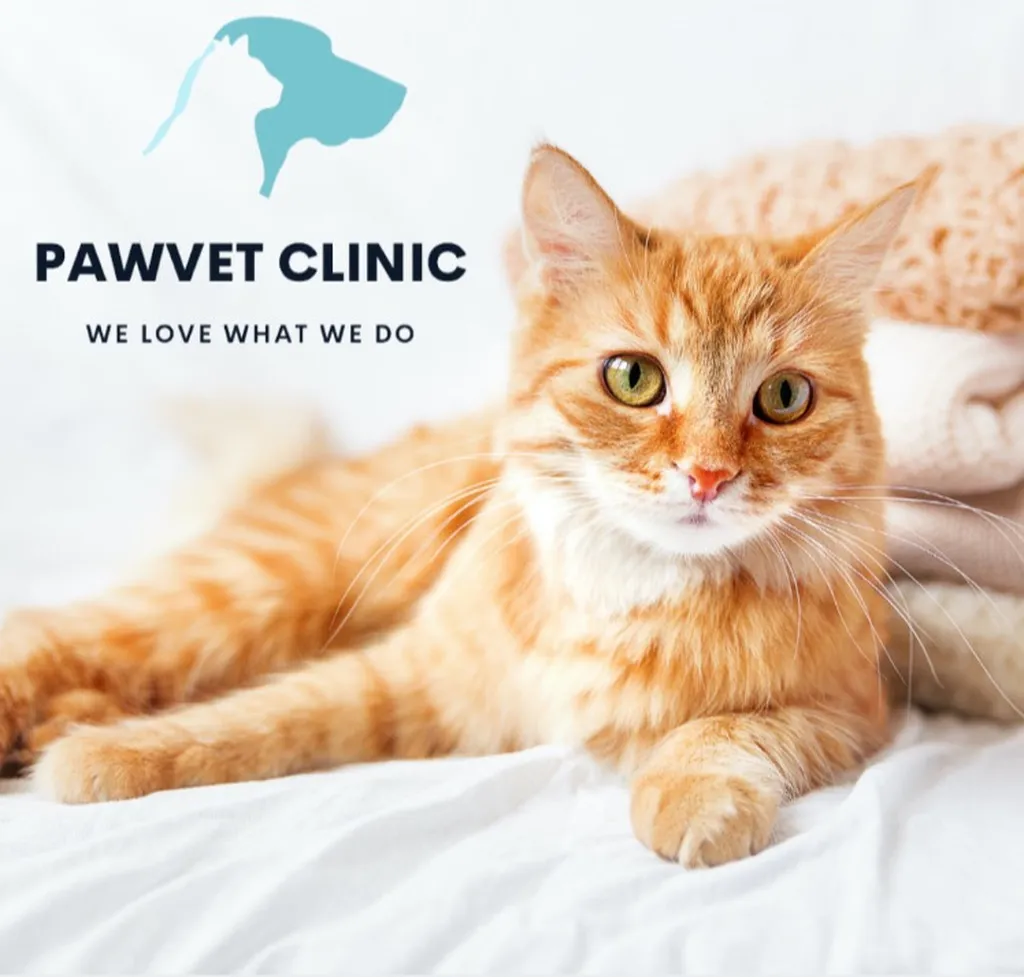 Pawvet Clinic Emergency vet