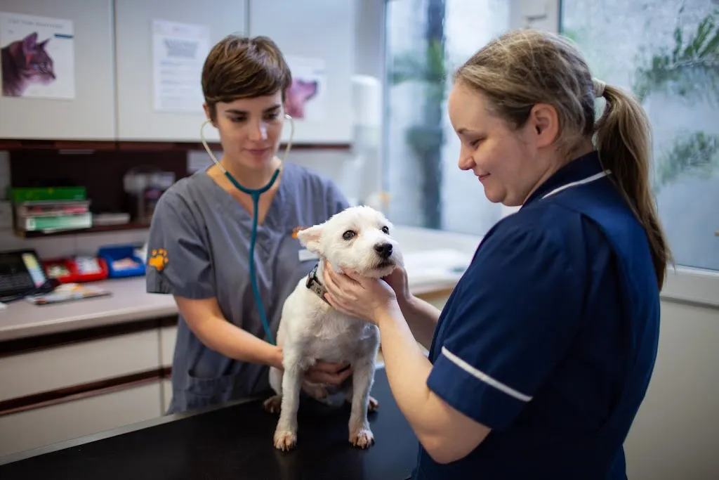 Paxton Veterinary Clinics