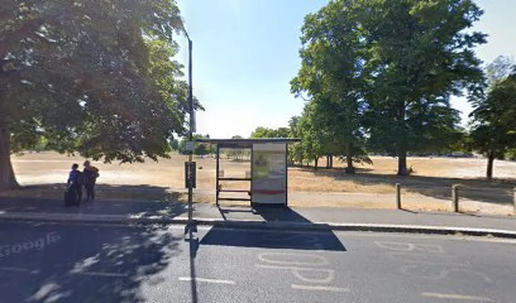 Peckham Rye / Nunhead Lane (Stop EN)