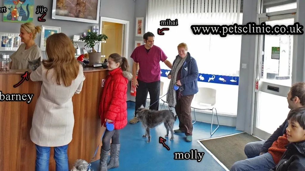 Pets Clinic Veterinary Surgery
