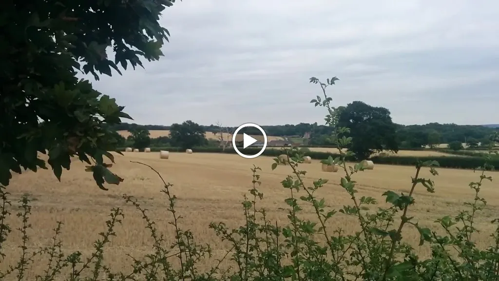 Roundhedge Way (Stop R)