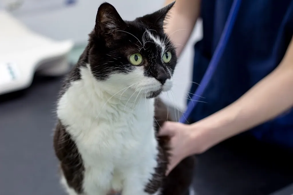 Sherwood Vets