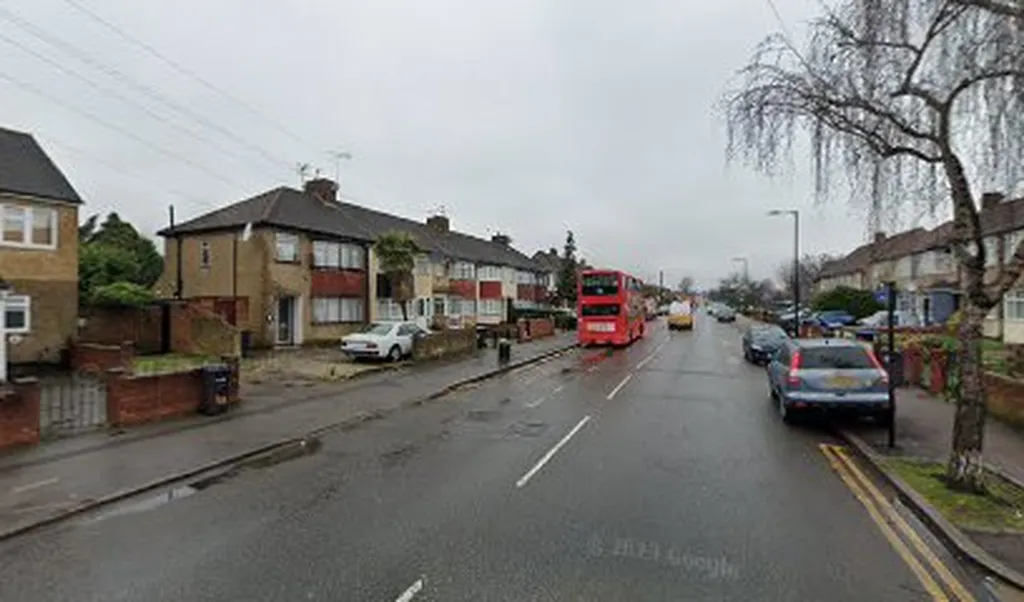 Shirley Grove